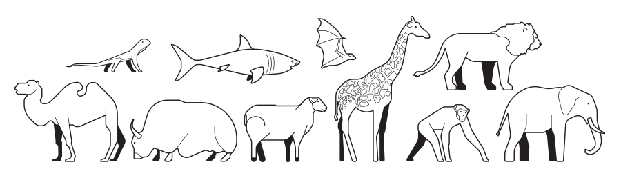 Animals Icons