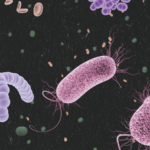 Pesquisa Fapesp Pages tumbnail