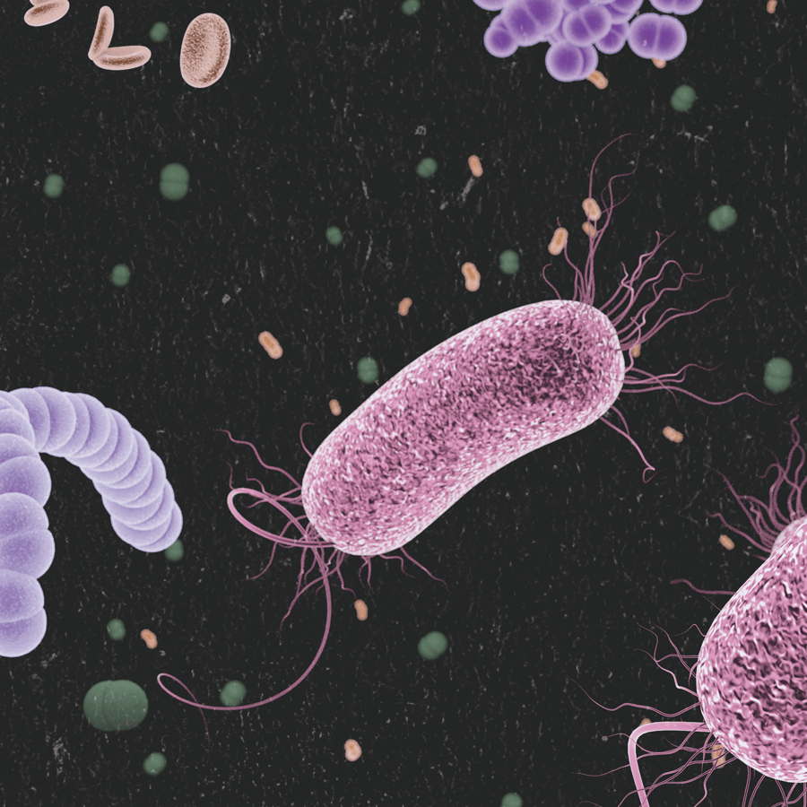 Pesquisa Fapesp Pages tumbnail